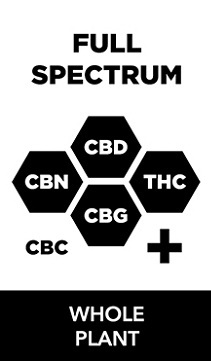 FullSpectrum