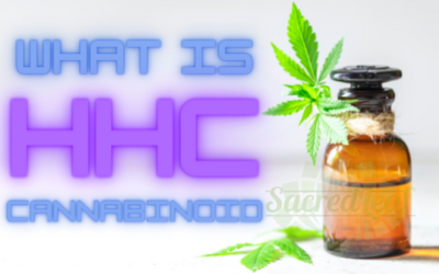 Understanding what is HHC